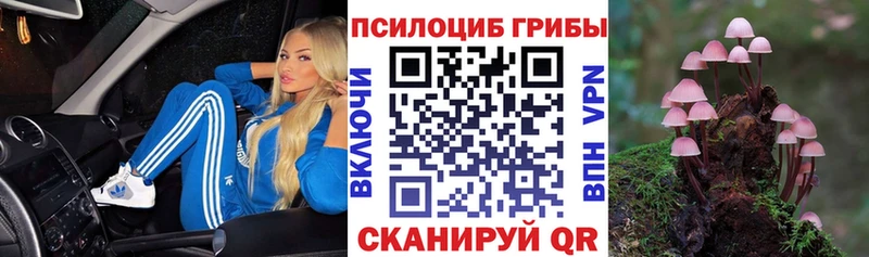 Галлюциногенные грибы ЛСД  Никольск 